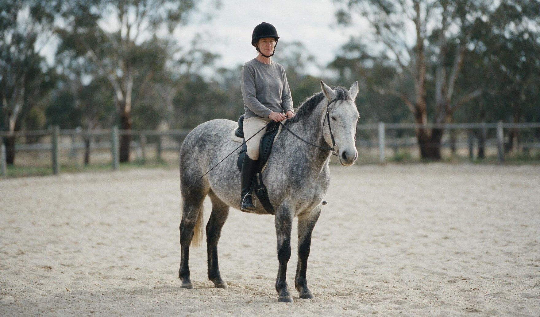 Riding Crop or Dressage Whip? How to Choose the Right One
