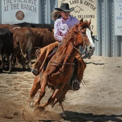 Western Horse with female rider