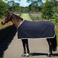 Horse with blue cotton horse rug