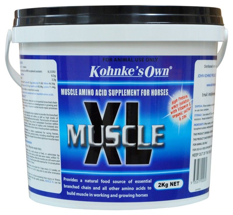 Kohnke's Own Muscle XL