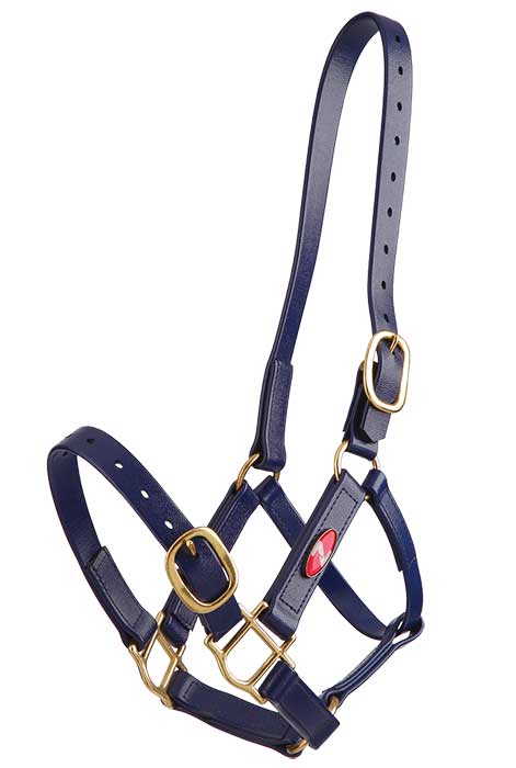 Headstall Plastic 25mm Zilco Full Blue