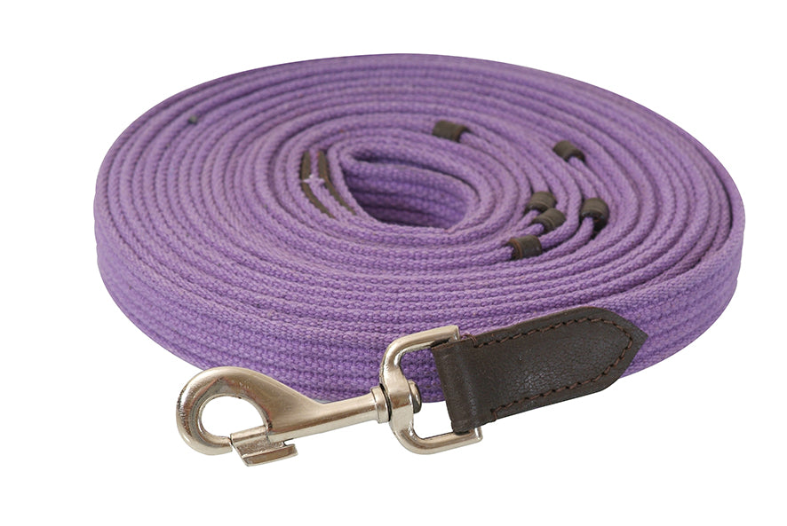 Lunge Lead Webb Purple