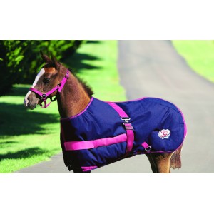Foal Rug Growing Thermomaster Navy & Pink