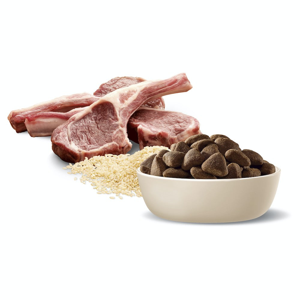 Advance Dog Adult Lamb & Rice All Breed 3kg