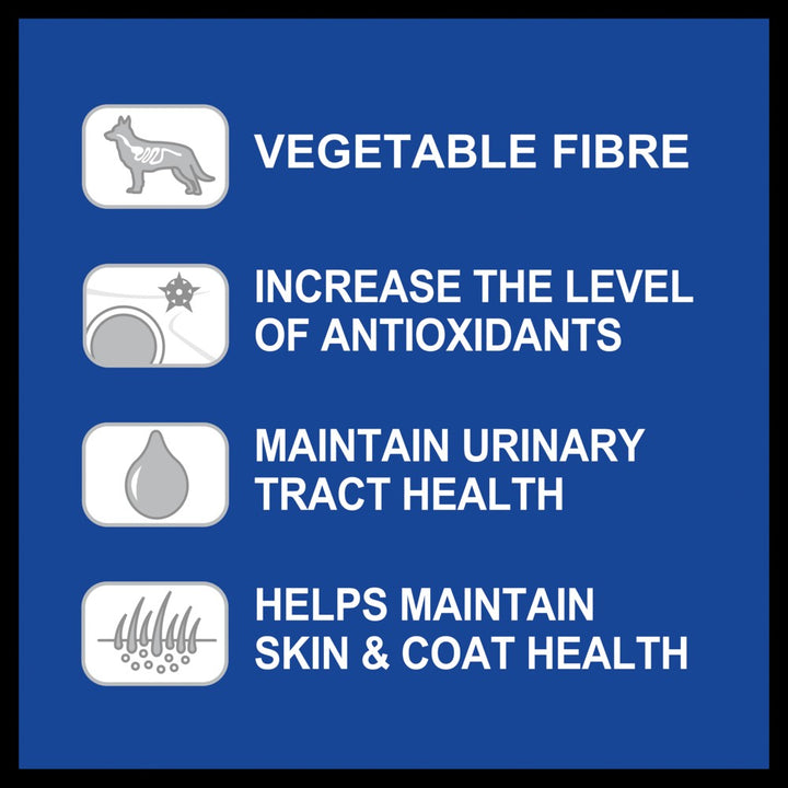 Advance Dog Can Adult Chicken Salmon 700gm