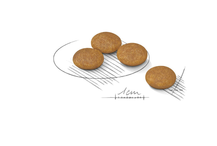 Royal Canin Dog Mini Dermacomfort 3kg