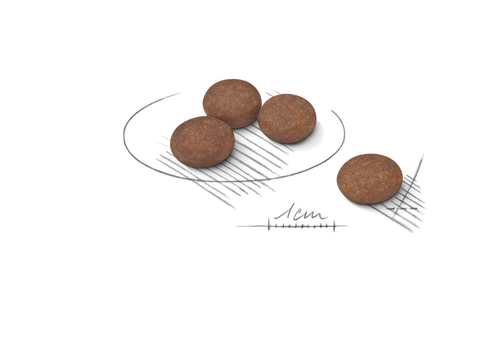 Royal Canin Dog Mini Digestive Care 8kg