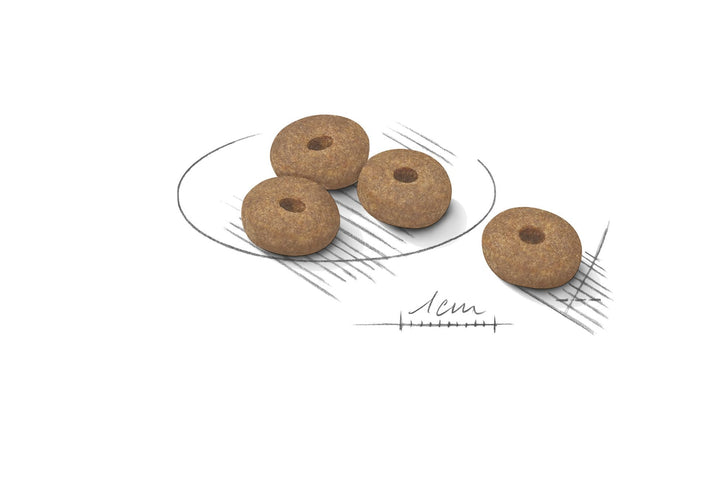 Royal Canin Dog Mini Lightweight Care 3kg