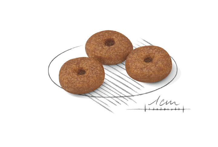 Royal Canin Dog Mini Ageing 12+ 1.5kg