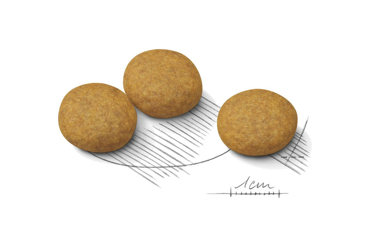 Royal Canin Dog Medium Dermacomfort 3kg