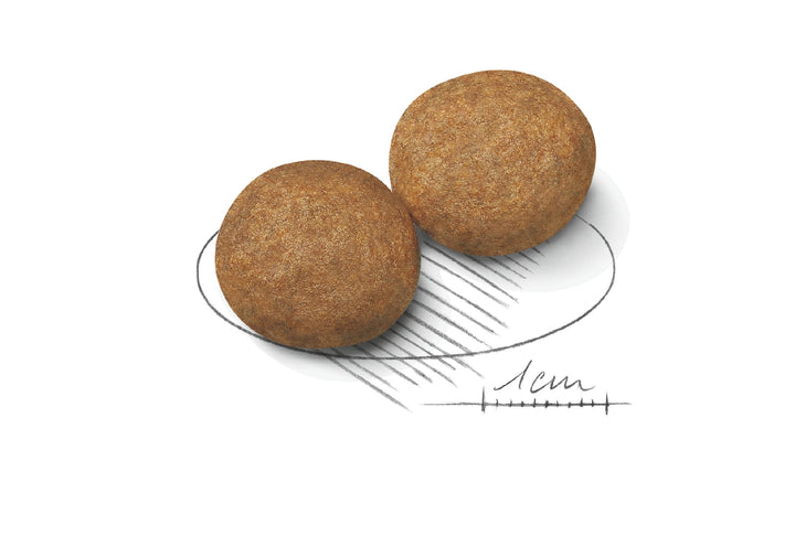 Royal Canin Dog Medium Adult 15kg