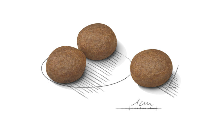 Royal Canin Dog Medium Digestive Care 3kg