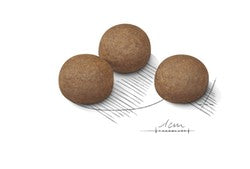 Royal Canin Dog Maxi Digestive Care 12kg