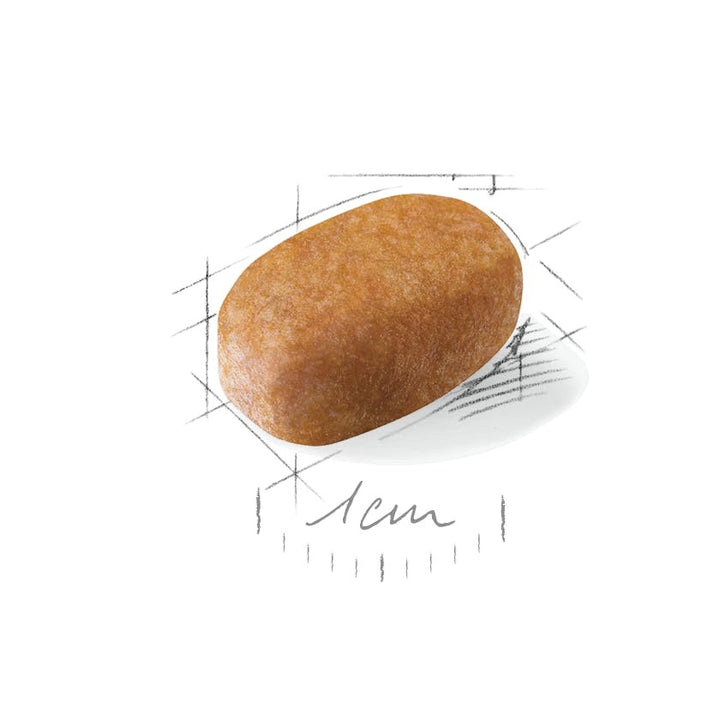 Royal Canin Dog Maltese 1.5kg