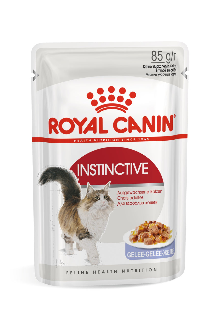 Royal Canin Cat Wet Instinctive Adult Jelly Box Of 12