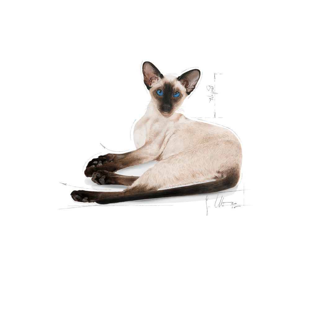 Royal Canin Cat Siamese 2kg