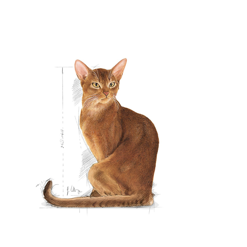 Royal Canin Cat Exigent Savour 2kg