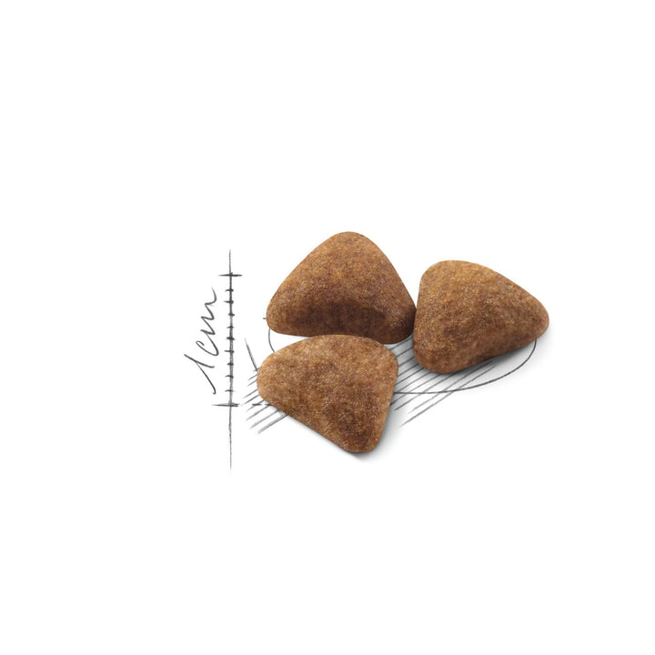 Royal Canin Cat Indoor 4kg