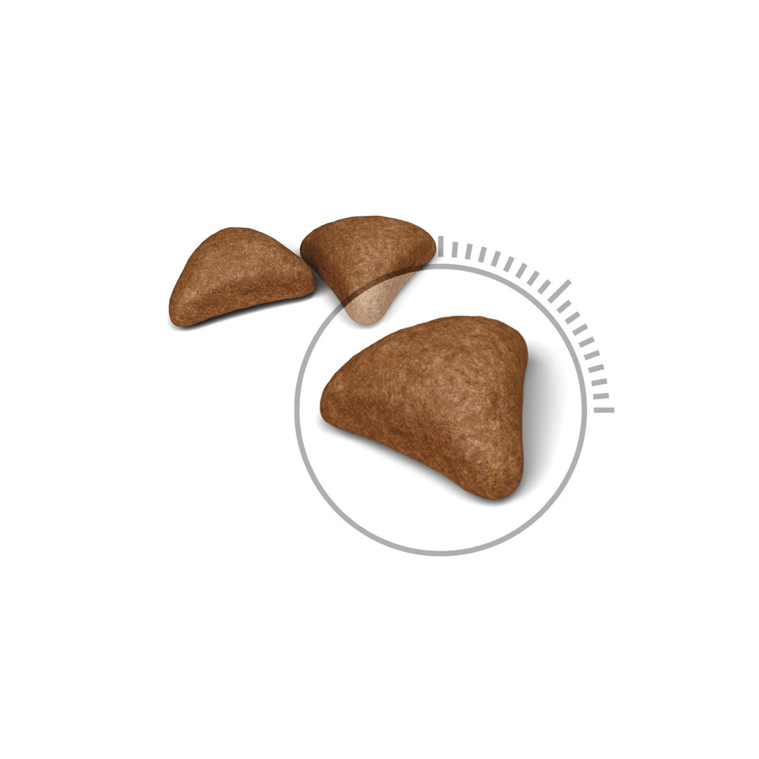 Royal Canin Cat Hairball Care 2kg