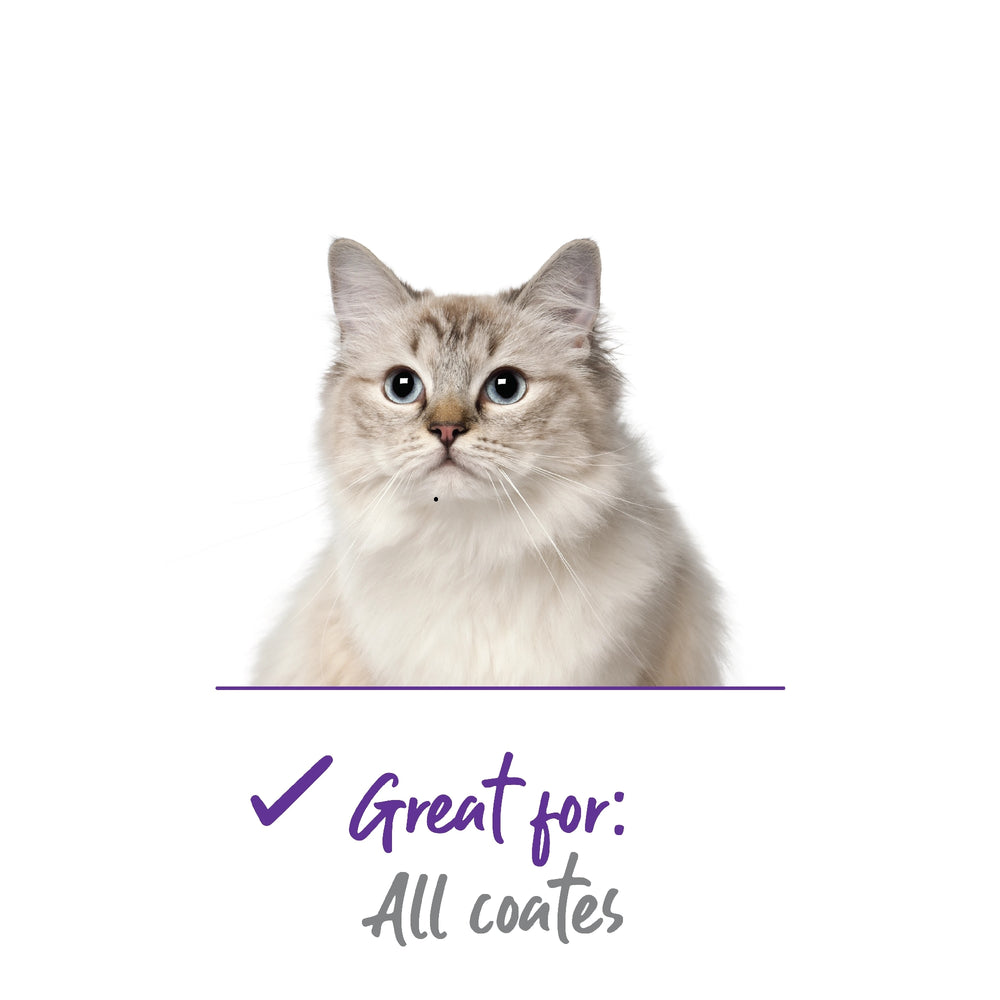 Cat Grooming Brush Soft Kazoo