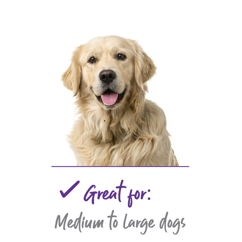 Dog Grooming Shedding Tool Kazoo