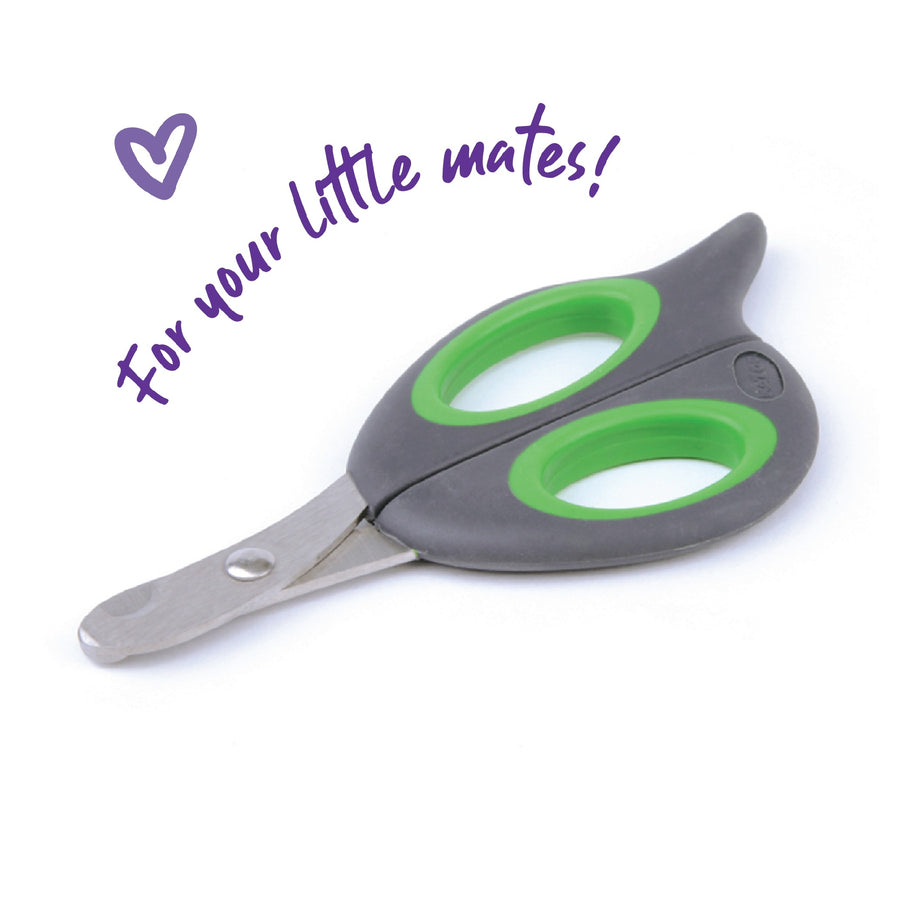 Dog Grooming Nail Clip Kazoo Puppy