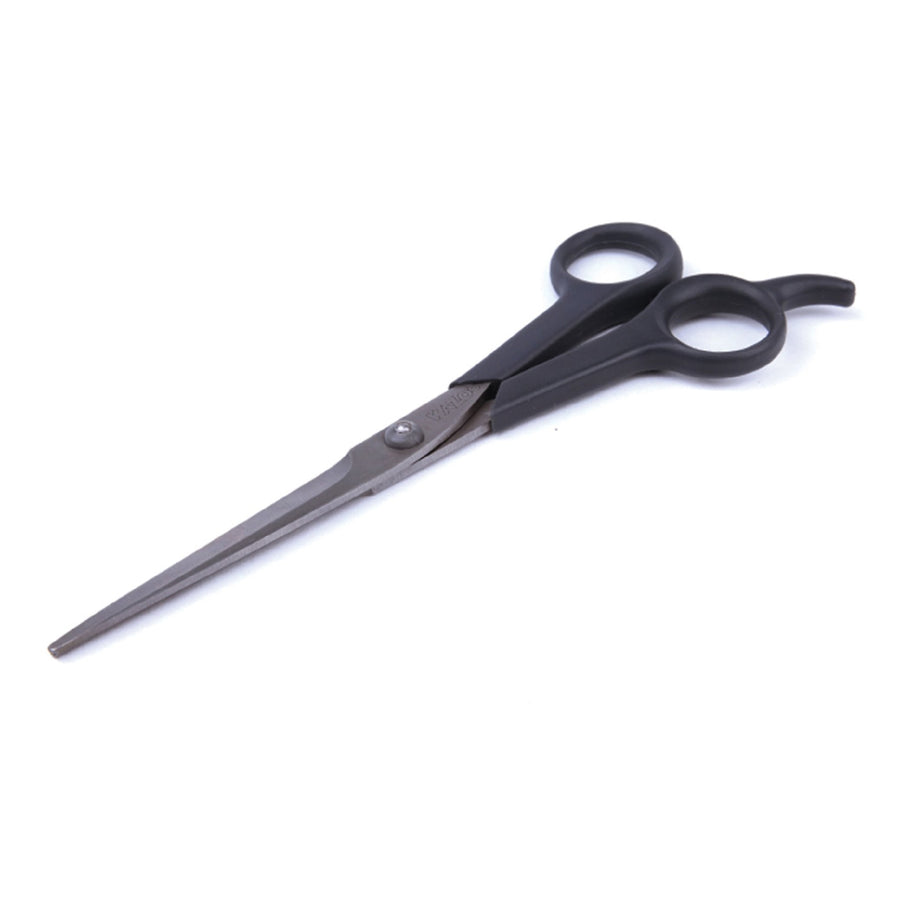 Dog Grooming Scissors Kazoo