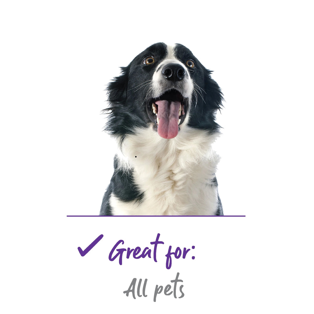 Dog Grooming Mitt Kazoo