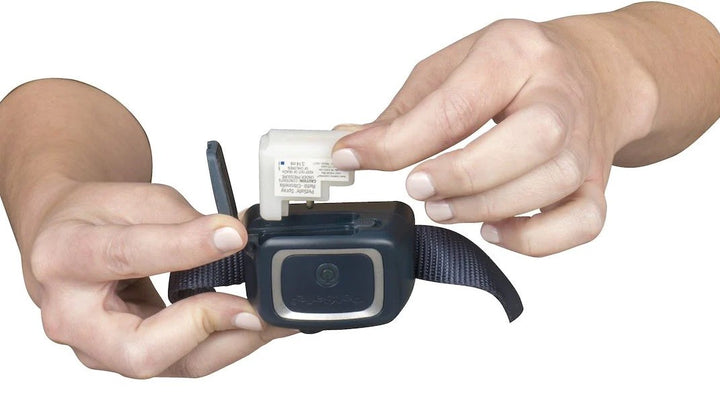 Bark Collar Spray Petsafe