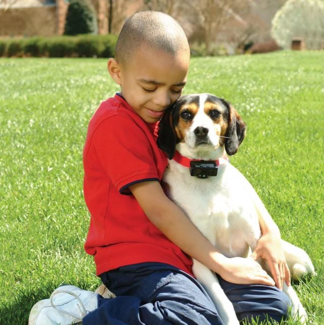 Bark Collar Static 10765 Petsafe