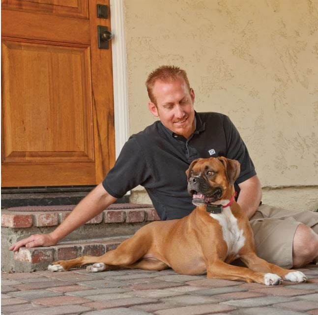 Bark Collar Static 10765 Petsafe