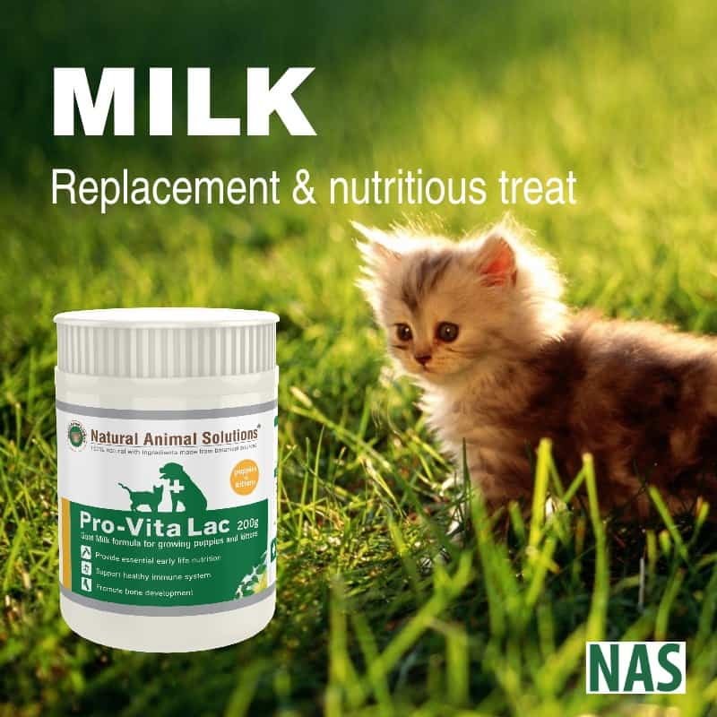 Natural Animal Solutions Goat Milk Powder 400gm