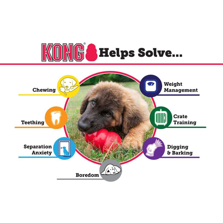 Kong Dog Toy Senior Medium