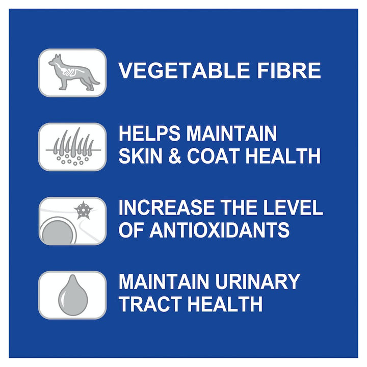 Advance Dog Can Adult Chicken Casserole 700gm