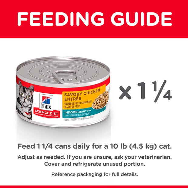Hills Cat Wet Can Kitten Healthy Cuisine Roasted Chicken & Rice 79gm-