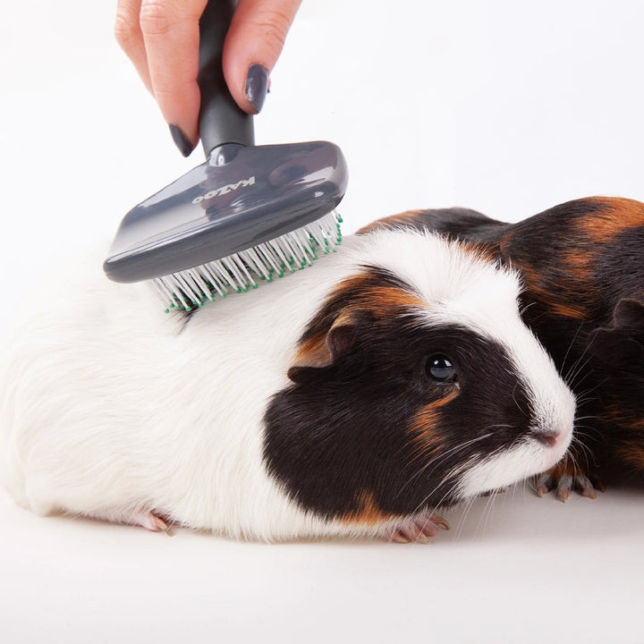 Rabbit Groom Kazoo Brush Slicker