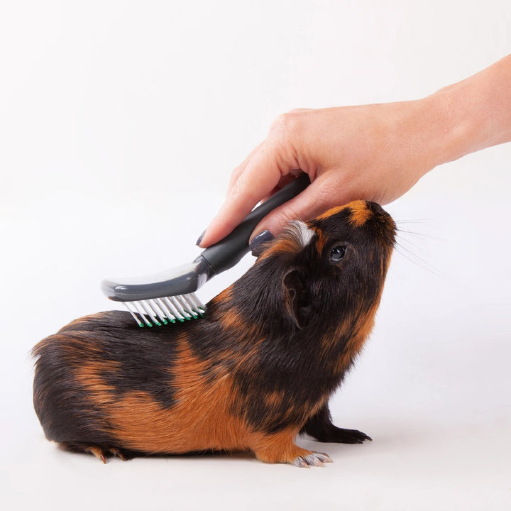Rabbit Groom Kazoo Brush Slicker