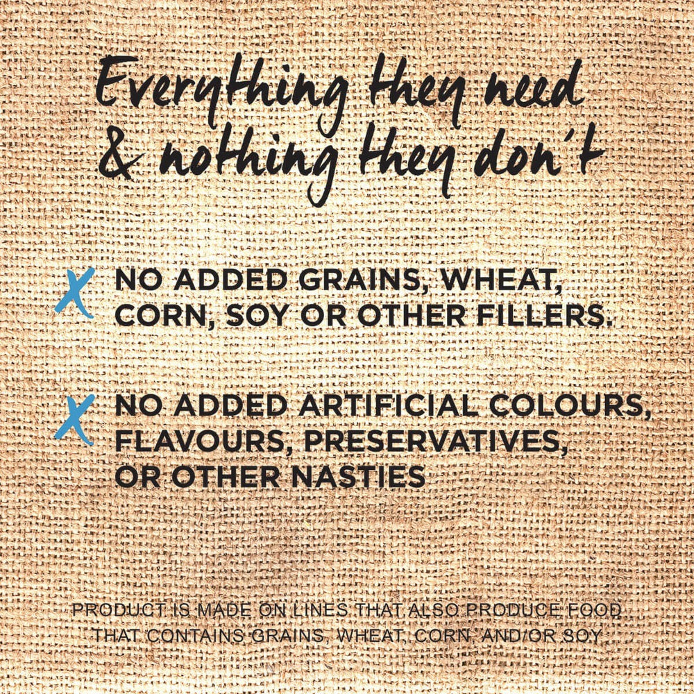 Ivory Coat Cat Grainfree Ocean Fish & Salmon 2kg