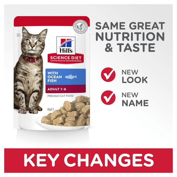 Hills Cat Wet Pouch Adult Ocean Fish 85gm Box Of 12