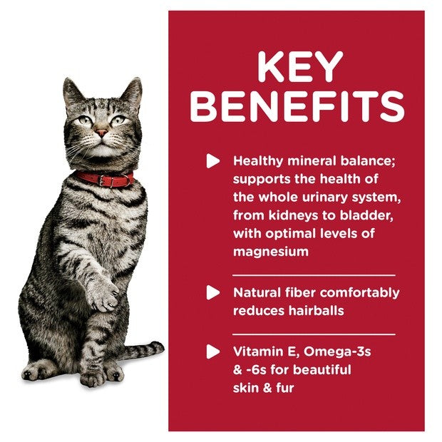 Hills Cat Wet Pouch Urinary Hairball Fish 85gm Box Of 12