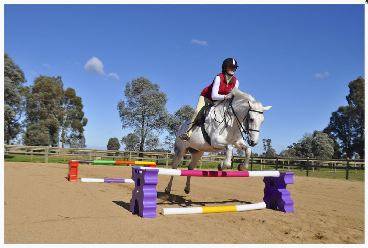 Jump Agboss Cavaletti Pair Purple