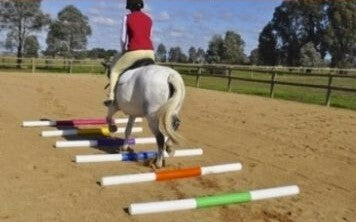 Jump Agboss Rail 2.4mt White & Pink