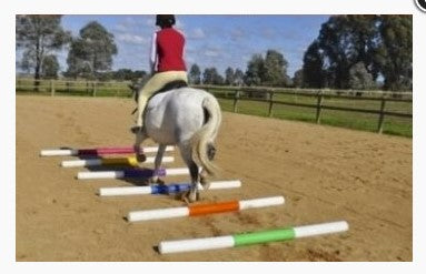 Jump Agboss Rail 2.4mt White & Blue