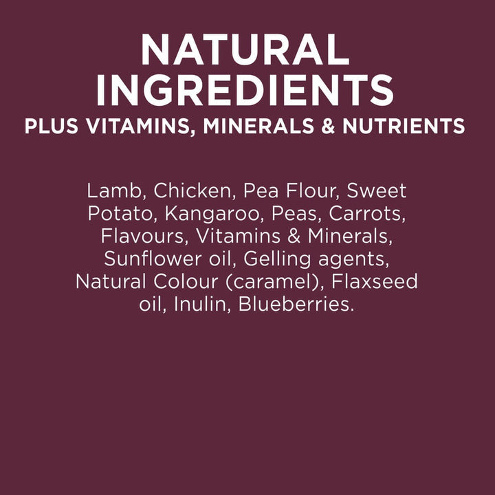 Ivory Coat Dog Wet Can Grainfree Lamb & Kangaroo Stew 400gm