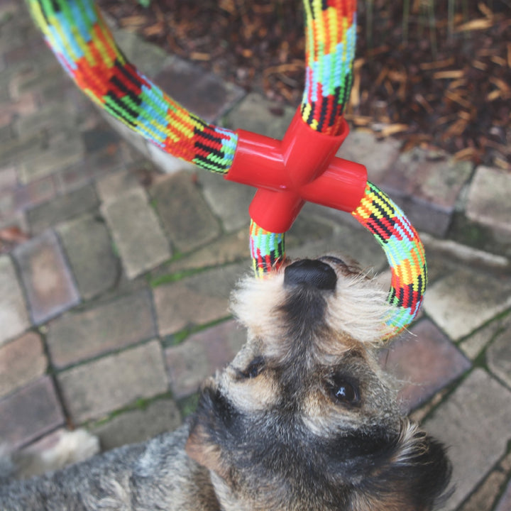 Kazoo Dog Toy Braided Rope Figure Eight Tug