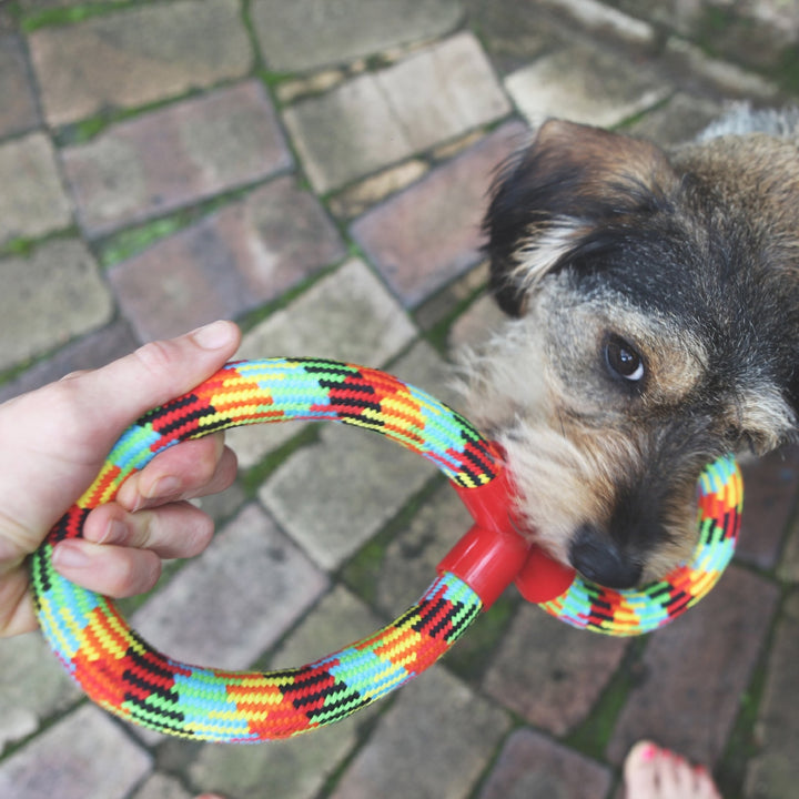 Kazoo Dog Toy Braided Rope Figure Eight Tug
