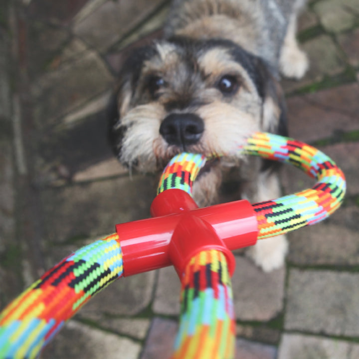 Kazoo Dog Toy Braided Rope Figure Eight Tug