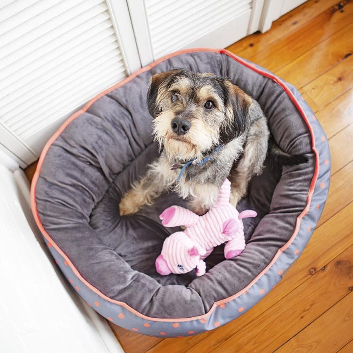 Kazoo Dog Toy Furries Funky Pig Medium