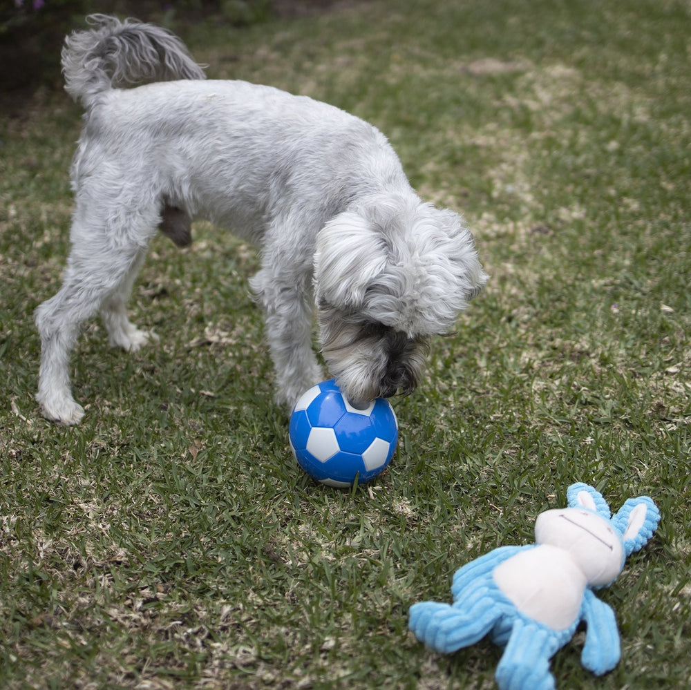 Kazoo Dog Toy Furries Funky Donkey Medium