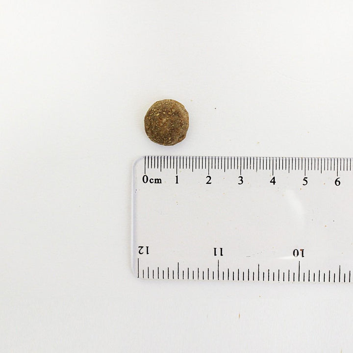 Hypro Premium Adult Kangaroo & Lamb 2.5kg